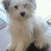 Photo de profil de Youki