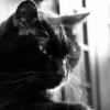 Photo de Mystère