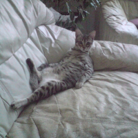 Photo de profil de Geranium
