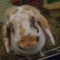 Photo de profil de Happy