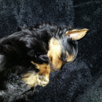 Photo de profil de Kali