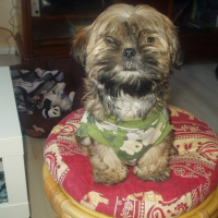 Photo de profil de Endy