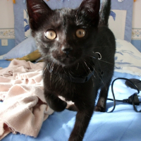 Photo de profil de Hermy