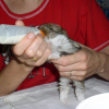 Photo de Arcante