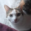 Photo de Mimi