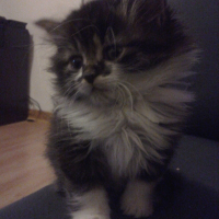 Photo de profil de Naomie