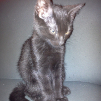 Photo de profil de Nutella