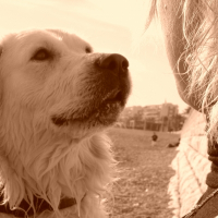 Photo de profil de Mango