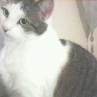 Photo de profil de Princesse