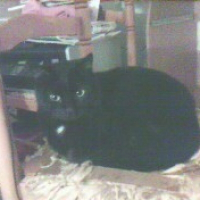 Photo de profil de Gaspard