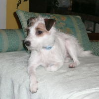 Photo de profil de Genny