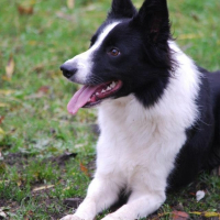 Photo de profil de Ghost