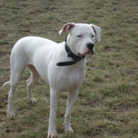 Photo de profil de Iris