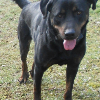 Photo de profil de Cowboy