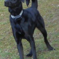Photo de profil de Bliss