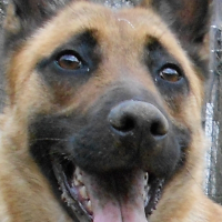 Photo de profil de Maya