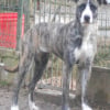 Photo de Vanille