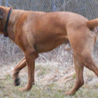 Photo de profil de Goliath