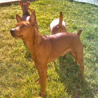 Photo de profil de Breeddy