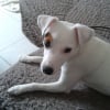 Photo de Galia