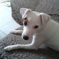 Photo de profil de Galia