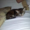 Photo de Lilou