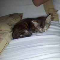 Photo de profil de Lilou