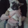 Photo de Winston