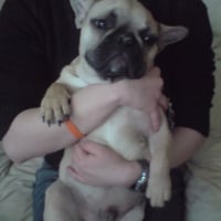 Photo de profil de Winston