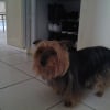 Photo de Ulysse