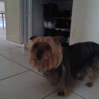 Photo de profil de Ulysse