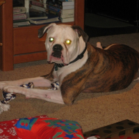 Photo de profil de Samson123456