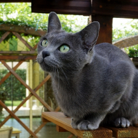 Photo de profil de Yuna (e nong sao de senguinet)