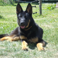 Photo de profil de Black 