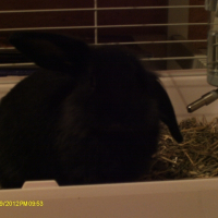 Photo de profil de Zoé