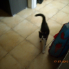 Photo de Pouky