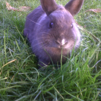 Photo de profil de Galia