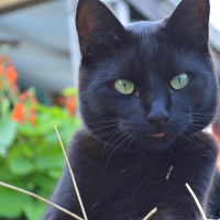 Photo de profil de Poker