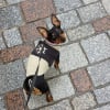 Photo de Roxy