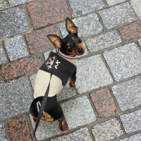 Photo de profil de Roxy