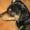 Photo de Chanel