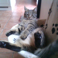Photo de profil de Moomine