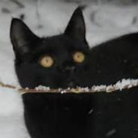 Photo de profil de Boo