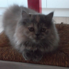 Photo de Michat