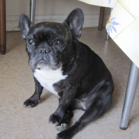 Photo de profil de Utess