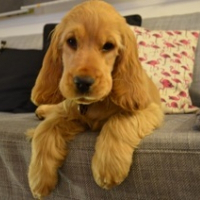 Photo de profil de Bonnie