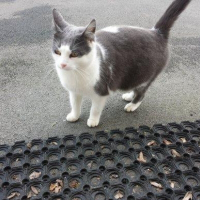 Photo de profil de Minette