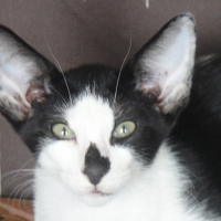 Photo de profil de Luna