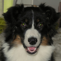 Photo de profil de Iwen galadrielle