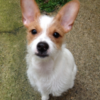 Photo de profil de Elka